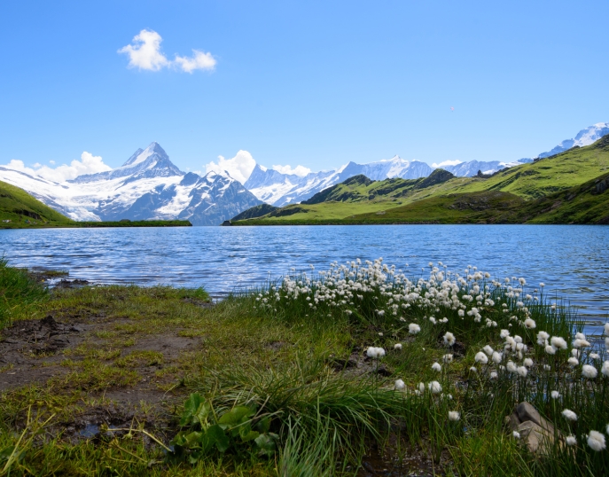 My Event in Switzerland Grindelwald