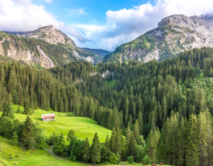 My event in switzerland gstaad My Event in Switzerland Gstaad