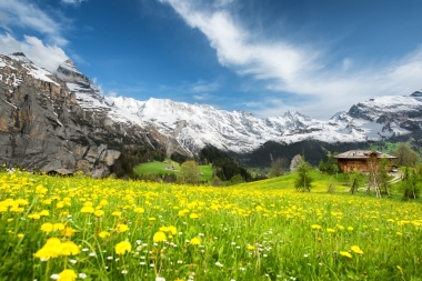 My Event in Switzerland Grindelwald