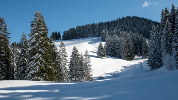 My event in switzerland the portes du soleil My Event in Switzerland The Portes du Soleil